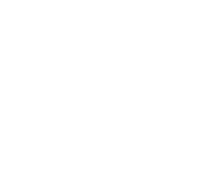 Connect Skills Recrutamento e Seleção